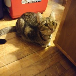 Meet your Posher, Amy